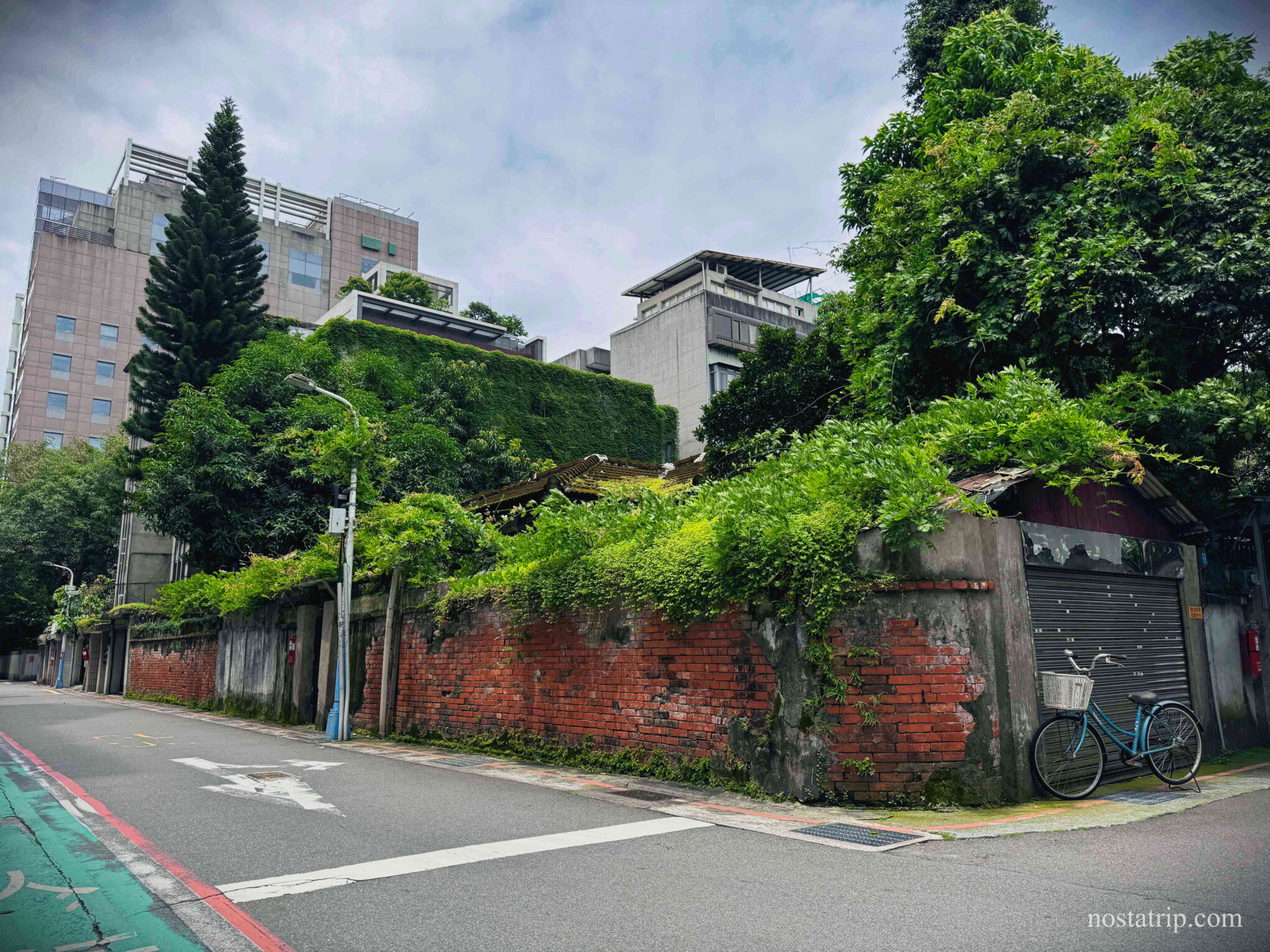 青田街9巷8號的紅磚牆與綠植屋簷，牆邊停著一台老單車，時光彷彿靜止。