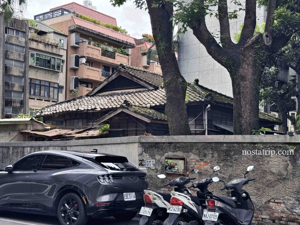 青田街老宅屋瓦與牆邊老樹共生畫面