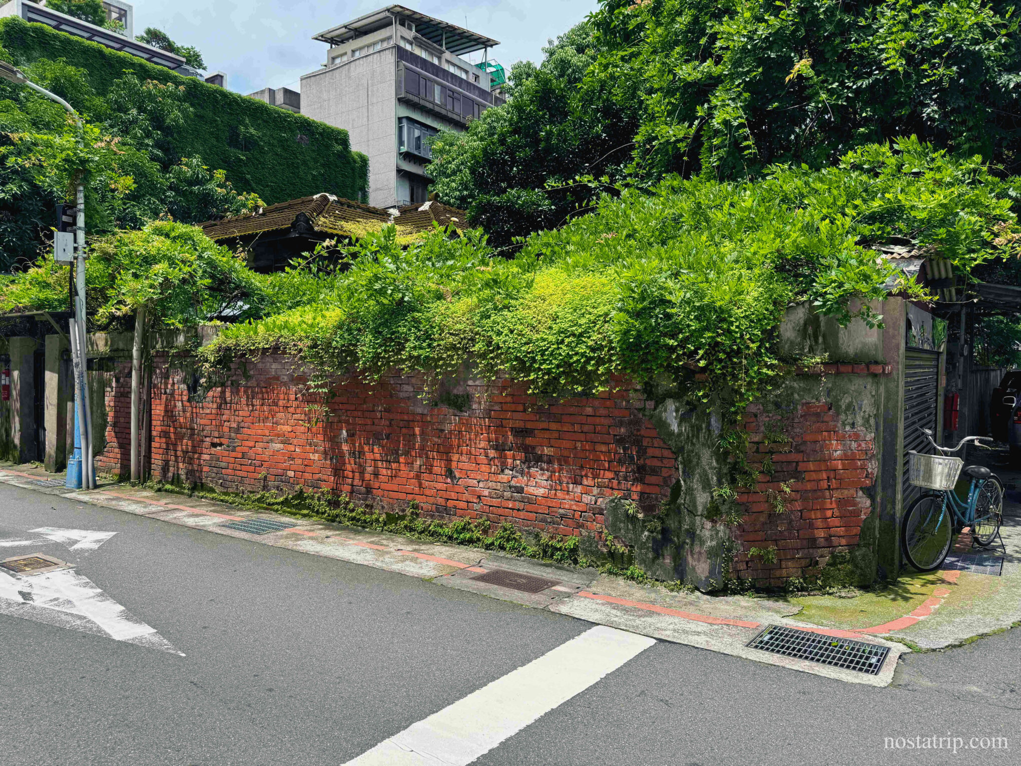 青田街街角轉彎處，一面爬滿綠意的紅磚牆與日式屋瓦靜靜佇立，腳踏車倚靠牆邊。