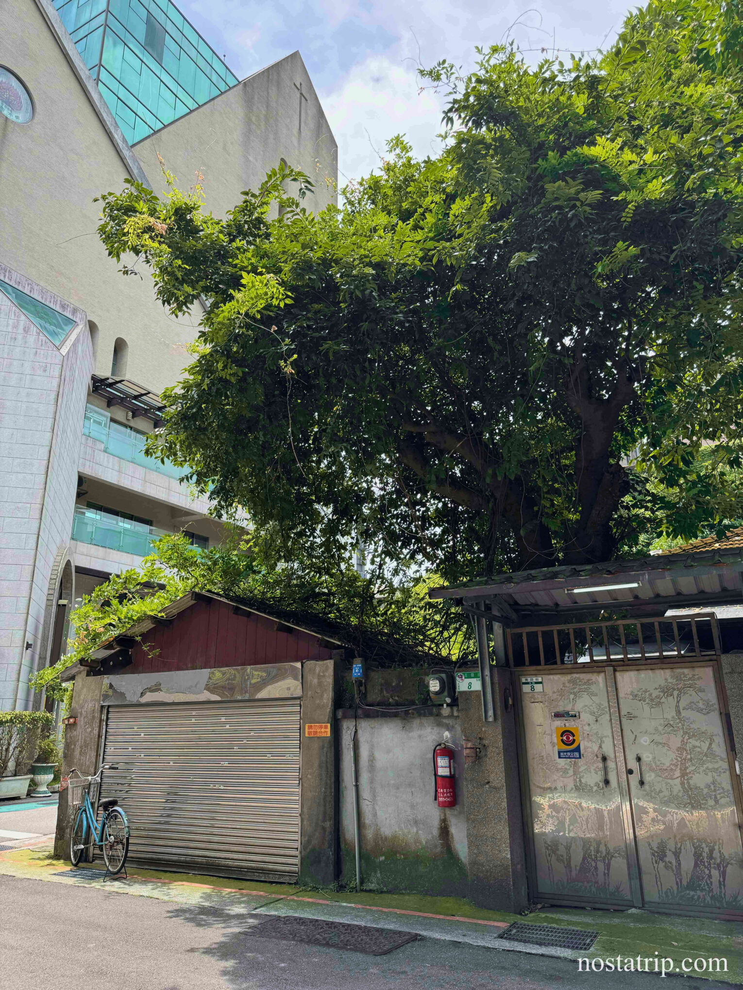 青田街上一棟日式老屋，門前老樹蓊鬱，腳踏車停靠在鐵門旁，旁邊是現代教堂建築。