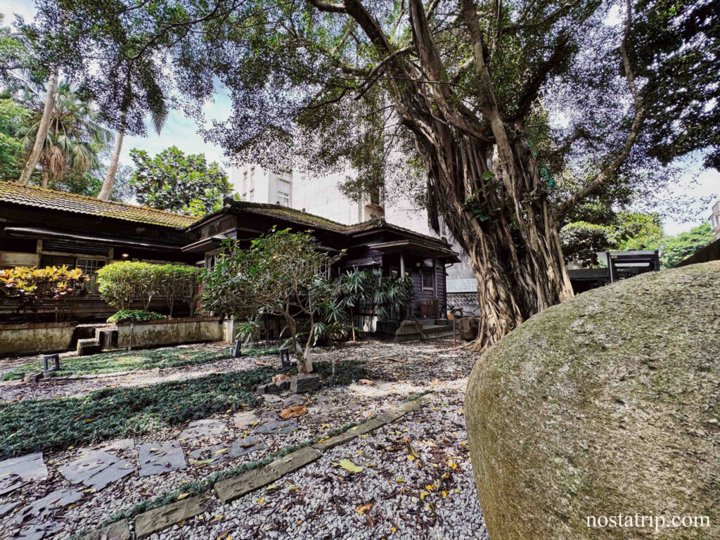 青田七六庭院與老榕樹下的日式老屋全景