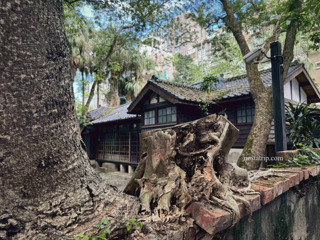 青田書院的斷樹根與木造屋角，見證時間痕跡的老屋一隅