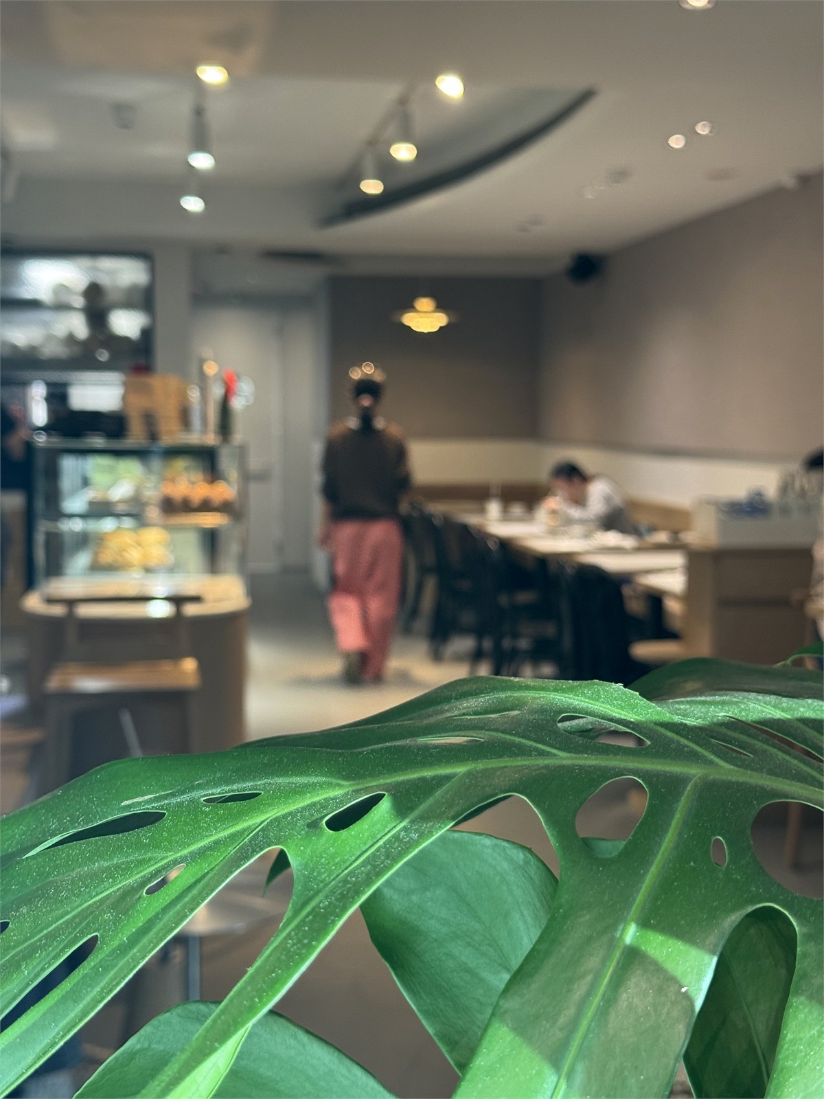 Supranormal Bakery Café 龜背芋葉片前景與店內座位空間