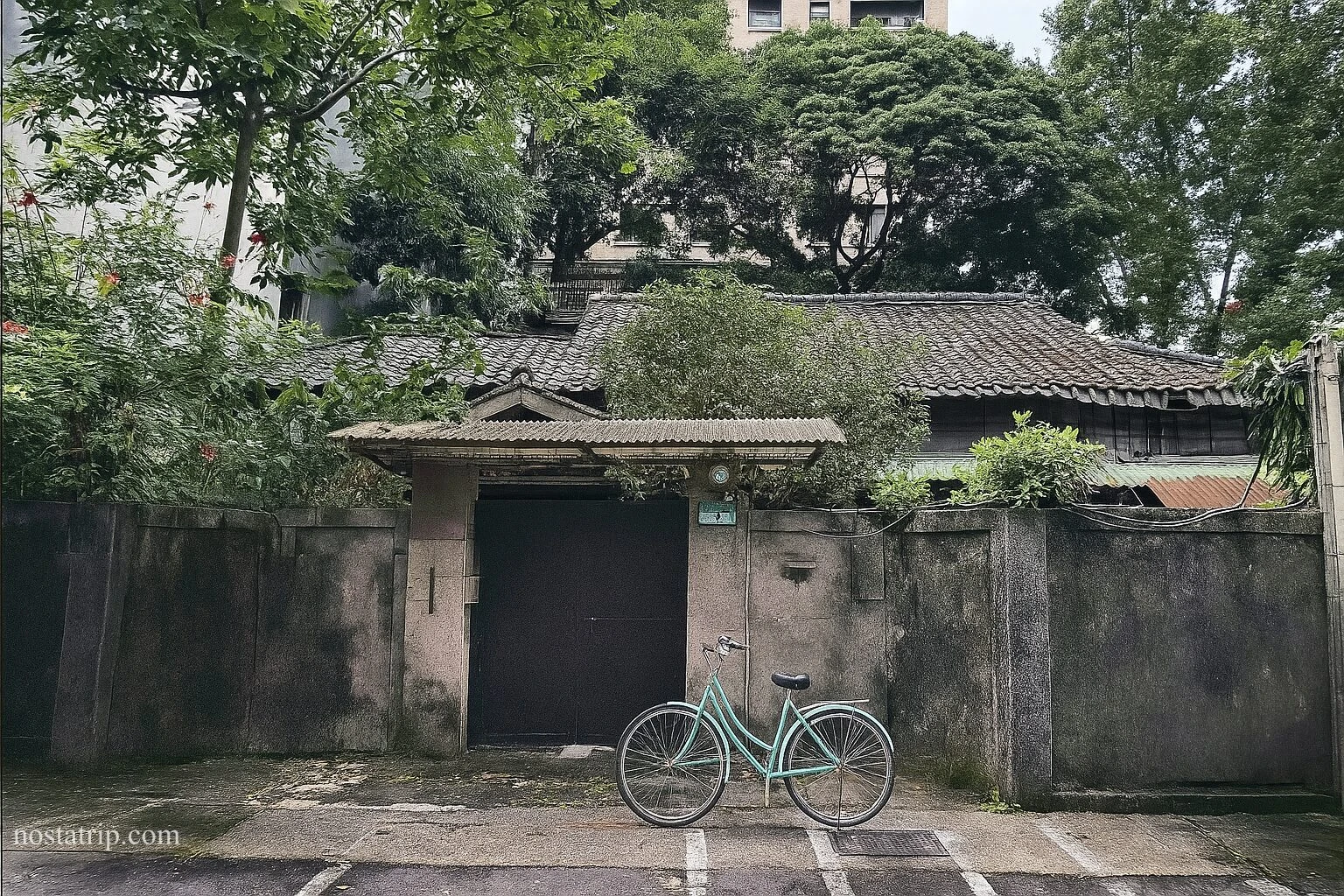 樹影下的青田街老宅門口，牆邊停著一輛腳踏車